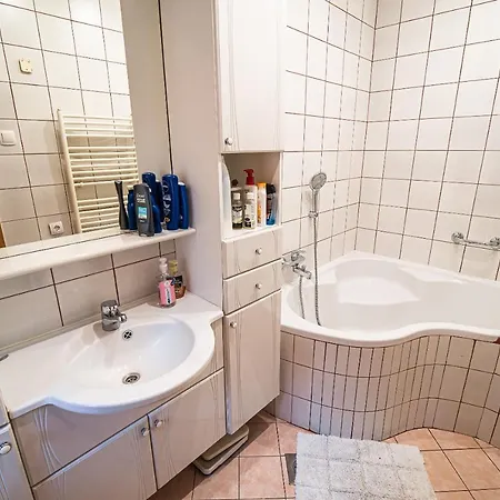 Apartment Three Bedroom Ana With Hot Tub Sevnica
