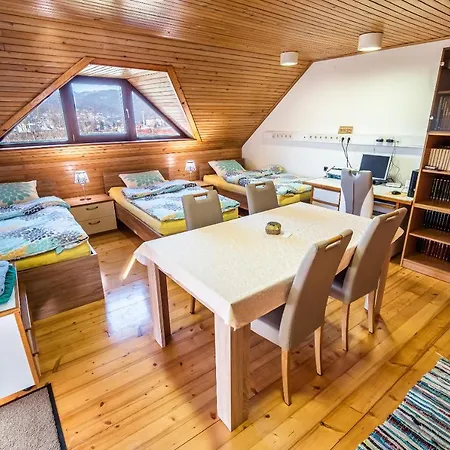 Apartment Three Bedroom Ana With Hot Tub Sevnica